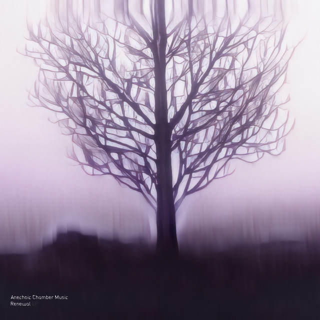 Renewal cover