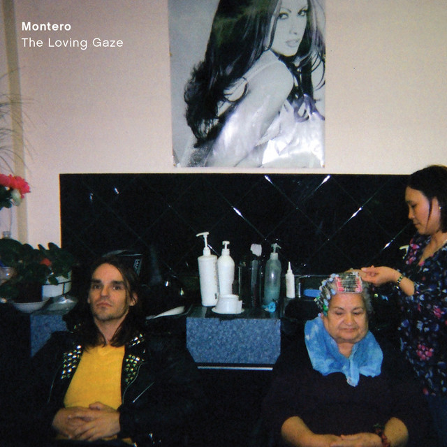 The Loving Gaze cover art