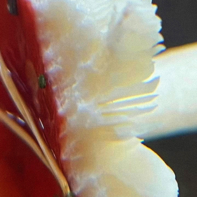 90%