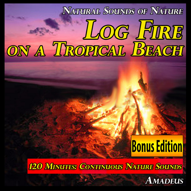 Morning Birdsong for Waking Refreshed: Nature Sounds - Bonus Track cover art