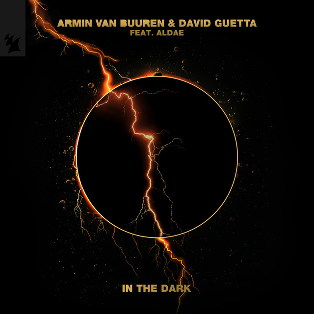 In the Dark (Remixes)