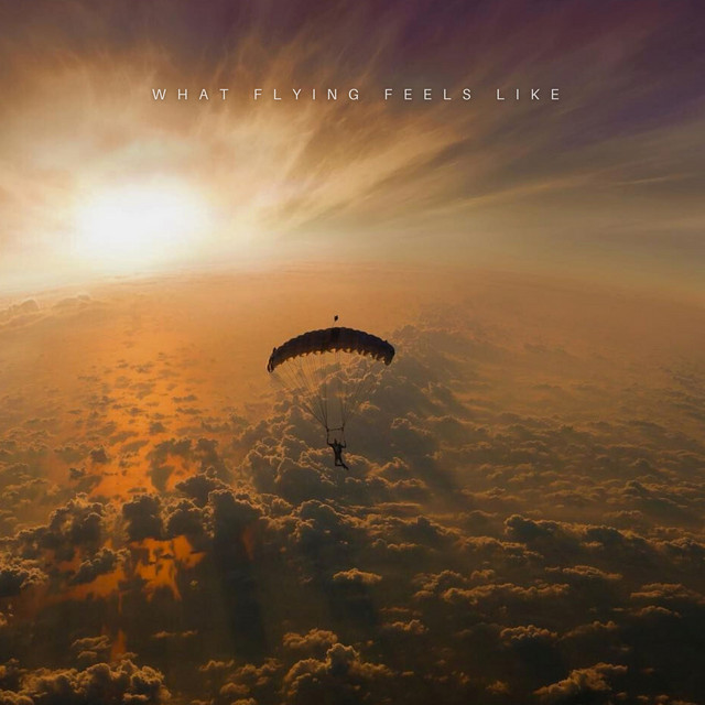 Обкладинка: what flying feels like — Clavier