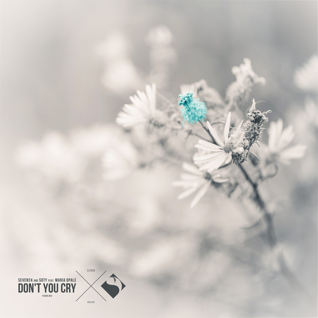 Cover art for Soty — Don't You Cry