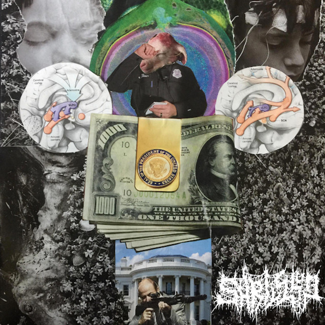 Shrivel Up cover art