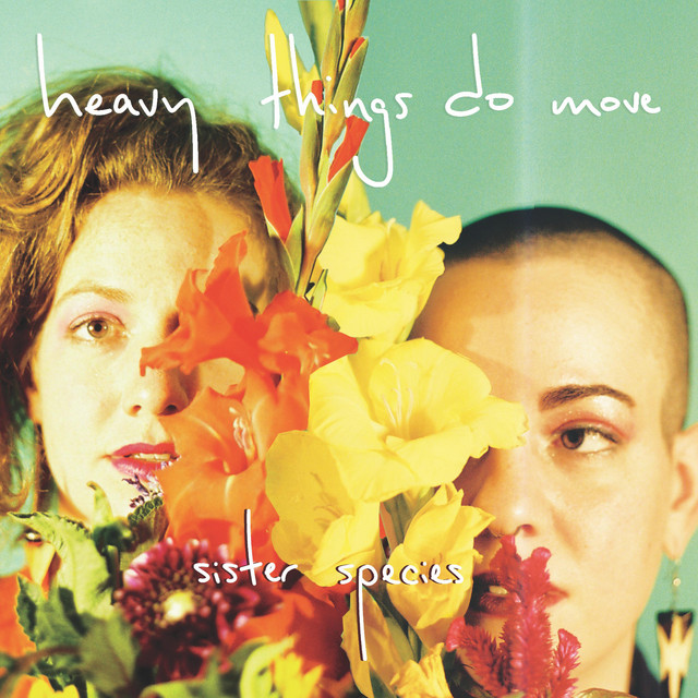 Heavy Things Do Move cover art