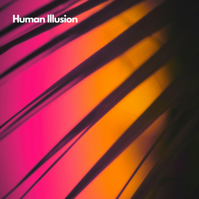 Human Illusion cover art