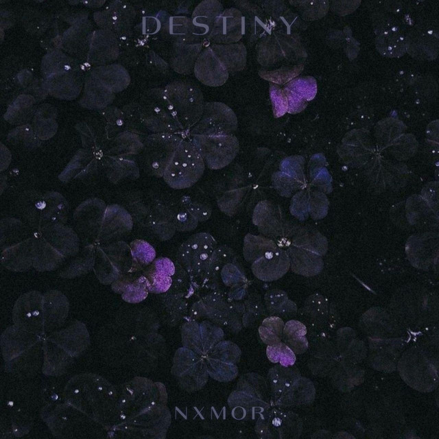 Обкладинка треку DESTINY