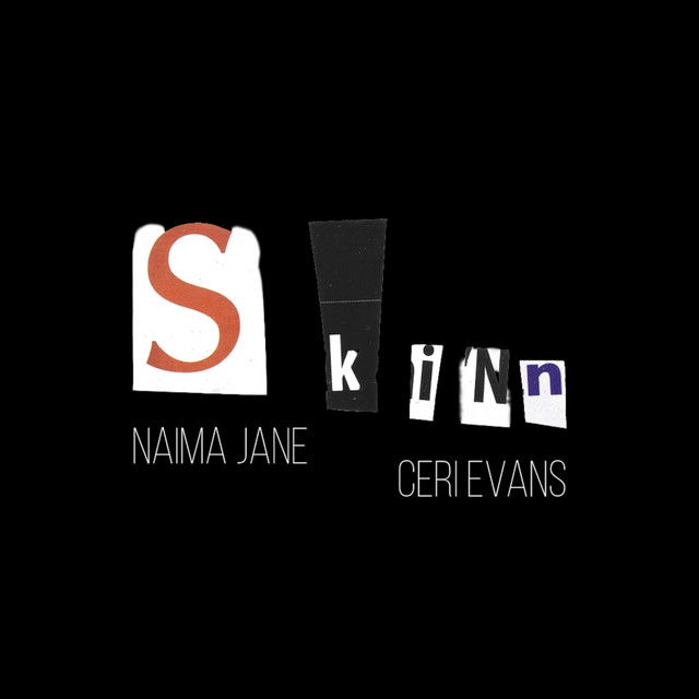 SkiNn album art