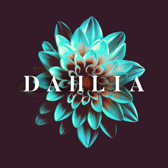 Dahlia cover