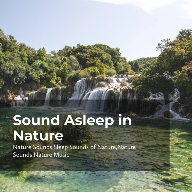 Sound Asleep in Nature - Album by Nature Sounds Nature Music | Spotify