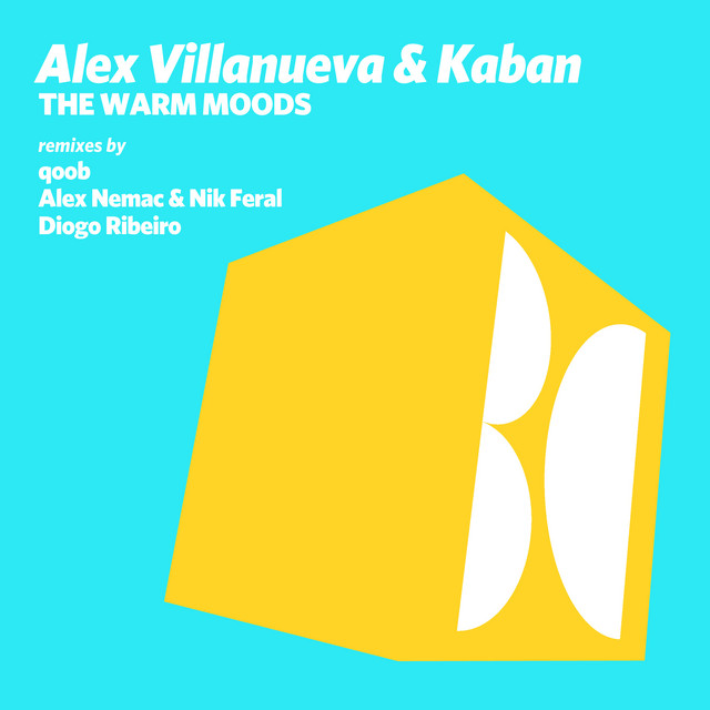 The Warm Moods - Diogo Ribeiro Remix cover art