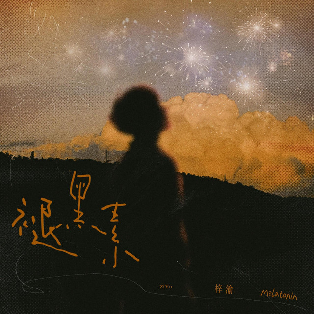 褪黑素 cover art