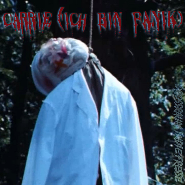 Carrie (Ich bin PANIK) cover