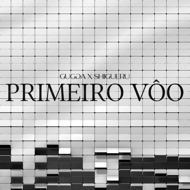 Primeiro Vôo