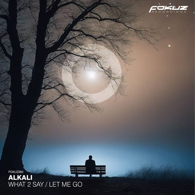 What 2 Say album art