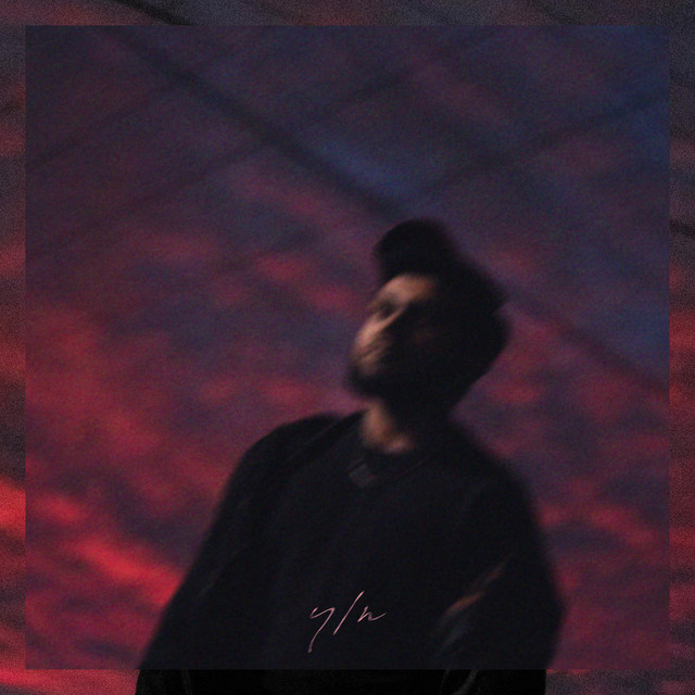y/n cover art