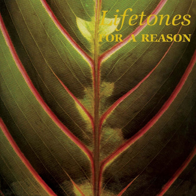 For a Reason cover art