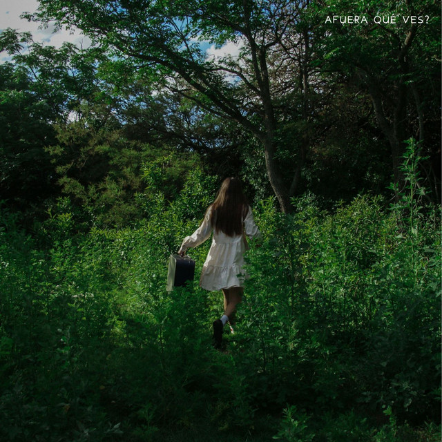 afuera qué ves? cover art