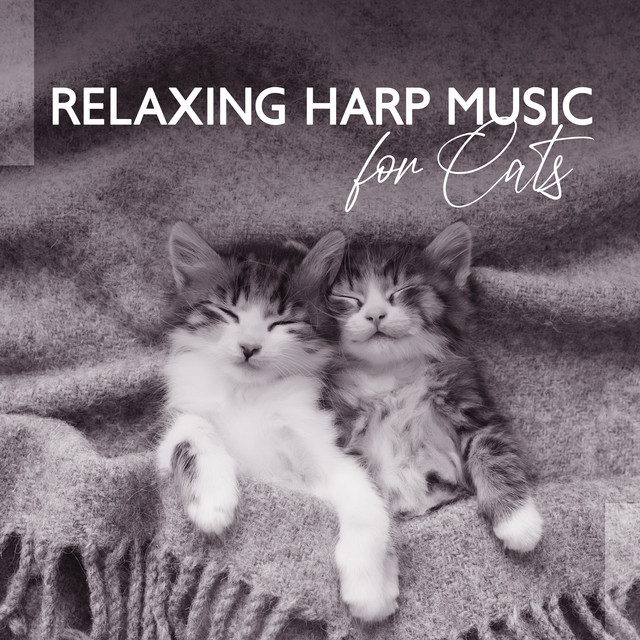 Relaxing Harp Ethereal Cats cover art