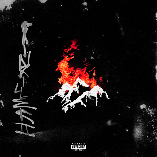 PAINKILLER II cover art