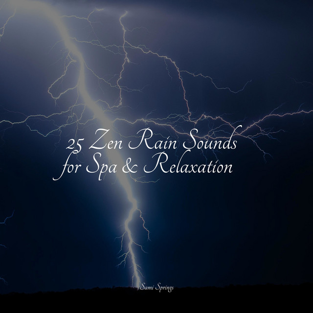 25 Zen Rain Sounds for Spa & Relaxation - Album by Wave Sound Group ...