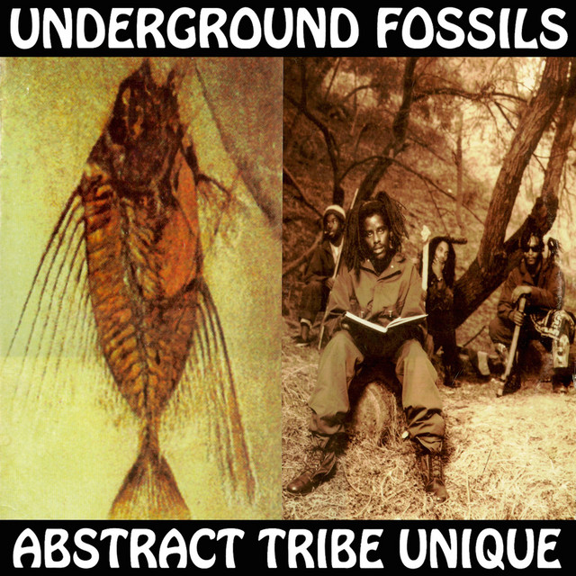 Underground Fossils cover art