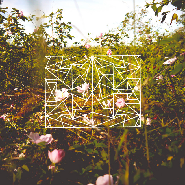 Transmutate cover art