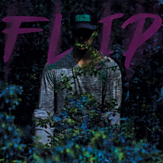 FLIP cover art
