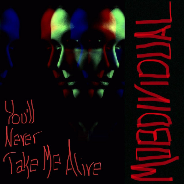 You'll Never Take Me Alive cover