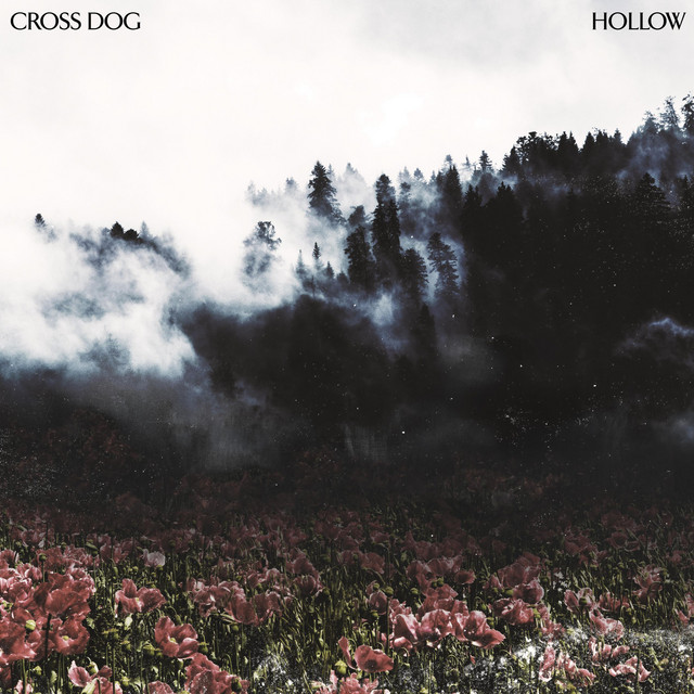 Hollow cover art