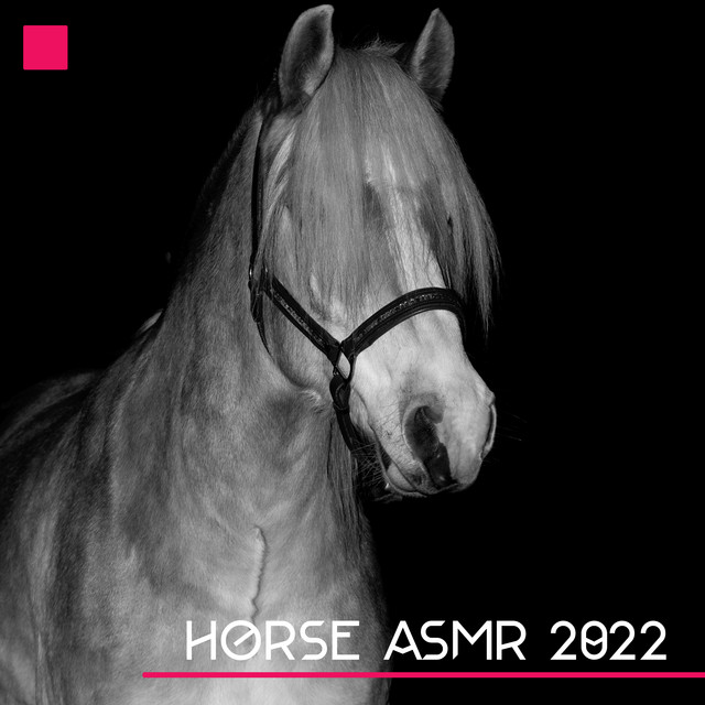 Horse ASMR 2022 cover art
