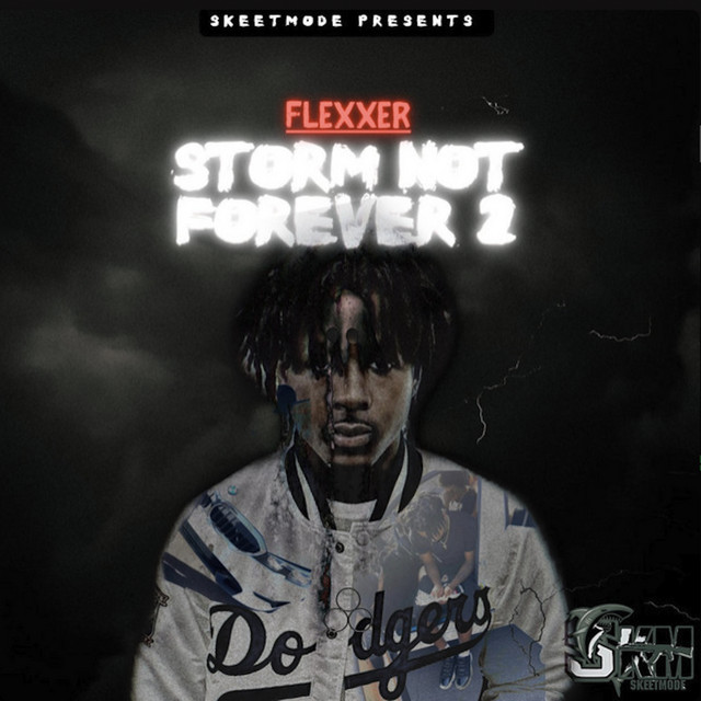 THE STORM NOT FOREVER 2 cover art