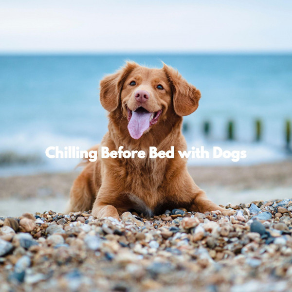 Chilling Before Bed with Dogs cover art