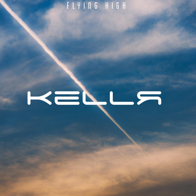 Flying High cover art