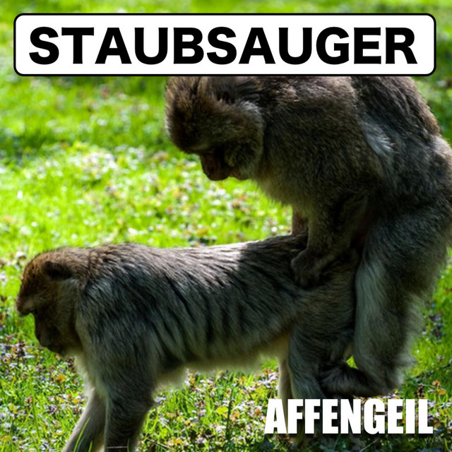 Staubsauger Photo