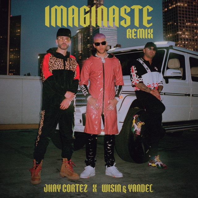 Imaginaste (Remix) cover art