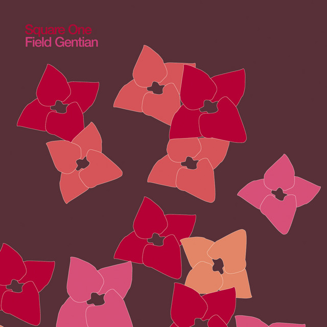 Field Gentian cover art