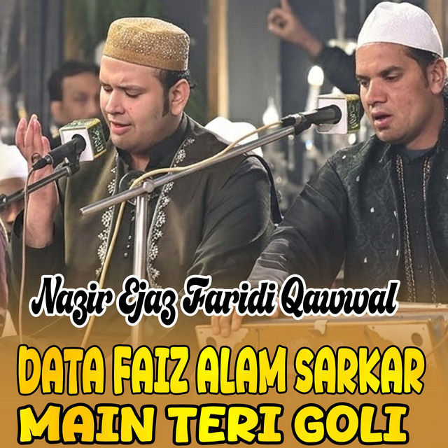 Data Faiz Alam Sarkar Main Teri Goli album image