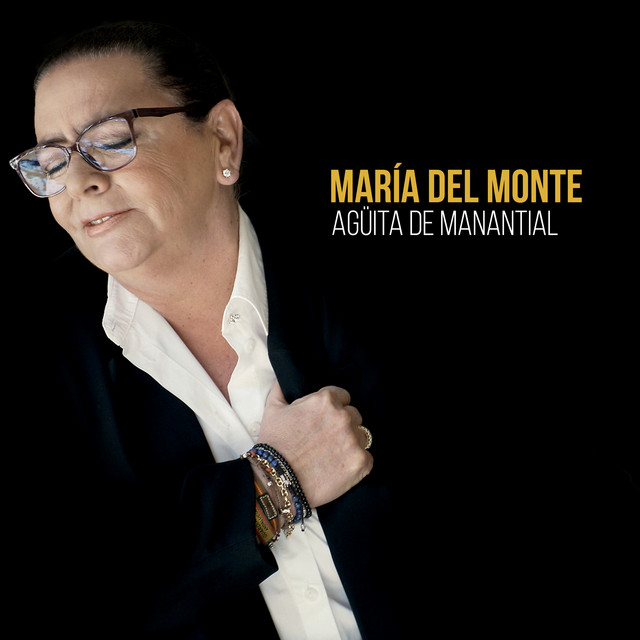 AGÜITA DE MANANTIAL cover