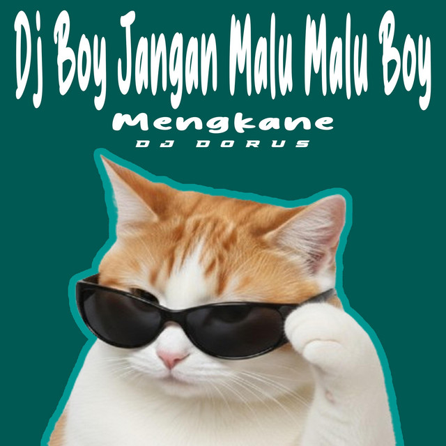 DJ BOY JANGAN MALU MALU BOY cover art