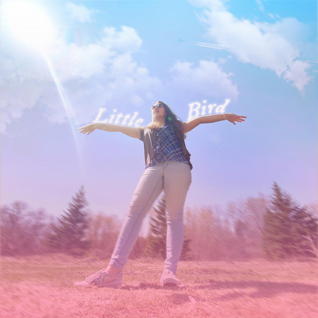 Little Bird cover art