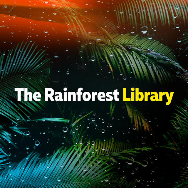 The Rainforest Library ! ! ! - Album by The Rainforest Collective | Spotify
