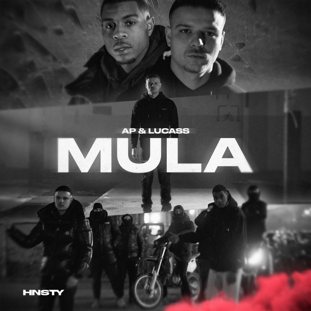 Mula cover art