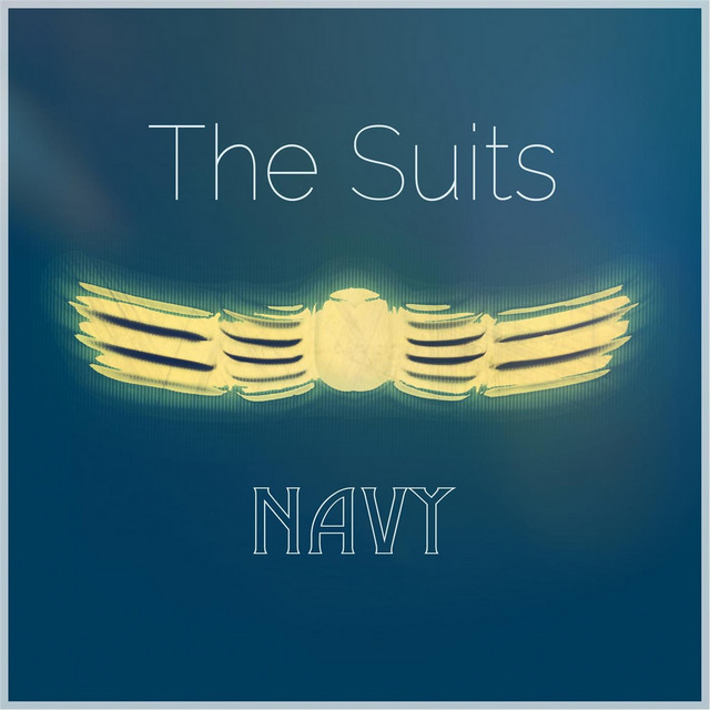 Navy cover art
