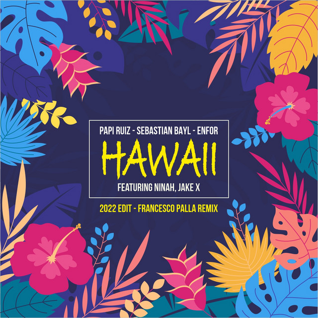Hawaii - Francesco Palla Radio Remix