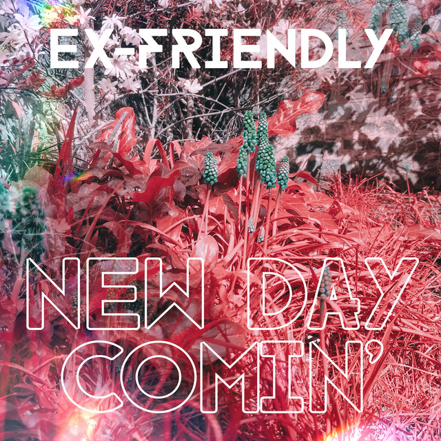 New Day Comin' cover