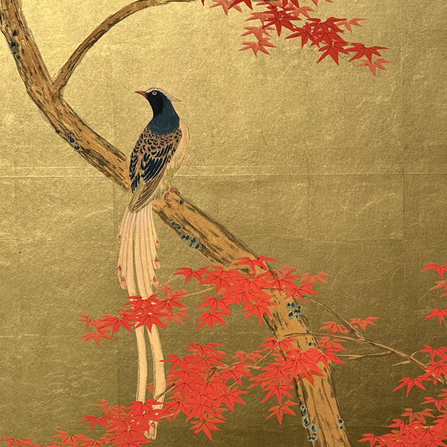 AIKIDO