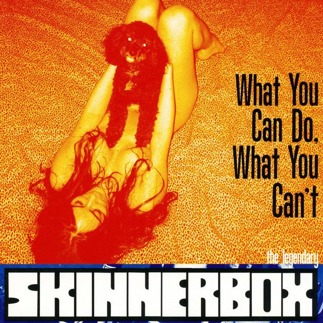 What You Can Do, What You Can't cover art
