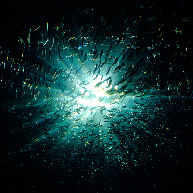 Aquaphilia cover art
