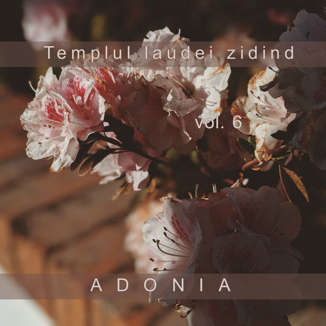 Templul laudei zidind, Vol. 6 cover art